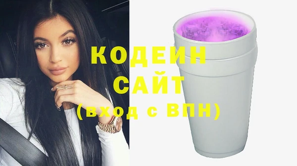 тгк Абаза